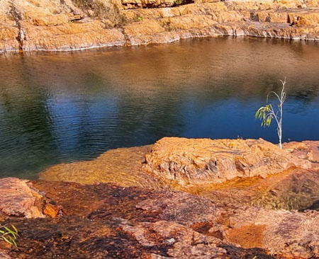 rock pool 