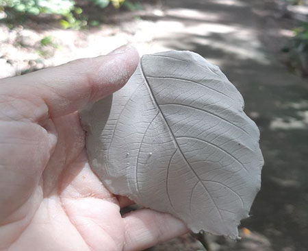 Artist's hand with clay leaf impression.