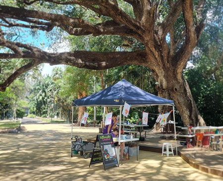 Artworks hanging from a marquee under a giant rain tree for Botanically Creative workshops.