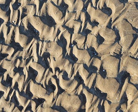 Striking beach ripples with shadows on the sand at Casuarina.
